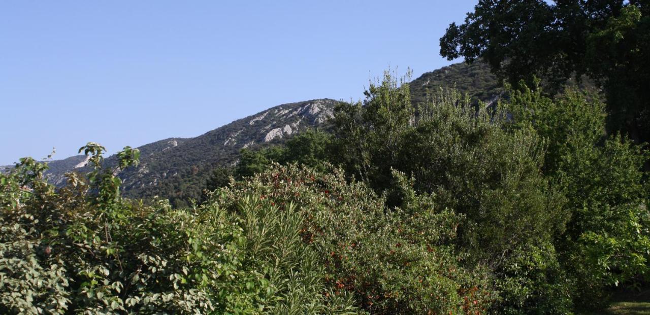 Hestia Bed and Breakfast Robion en Luberon Exterior foto